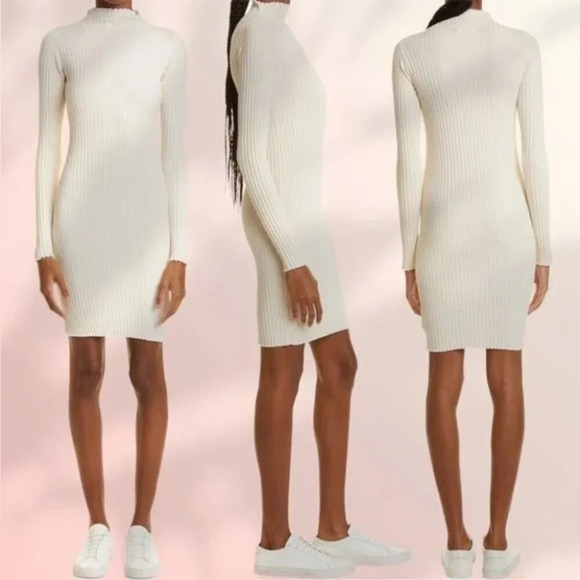 JOHN ELLIOTT GINZA RIb Long Sleeve Mock Mini Dress in Feather - Picture 7 of 15